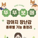 강아지 장난감, 종류별로 어떤 기능이 있을까?