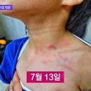 단원어린이집 이미지