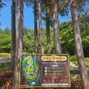 수정산 꿈자람터 이미지