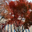 서부교육지원청 | [20251124] 서울 서부교육지원청 사서 연수 후기