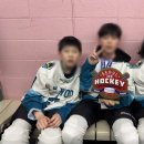 (주)강남로하스 하남지점 | 하남아이스하키 타이거샥스 아이스하키 하남지점 수업