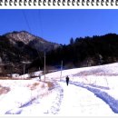 불루모아 이미지