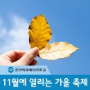 더 추워지기 전에 즐기자! "11월 가을 축제 소개" 이미지