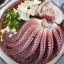 삼척골뱅이 이미지