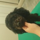 전주동초등학교 이미지