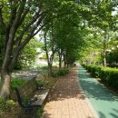 아랫배랭이로 이미지