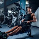 전신 근육 밴드 운동 이미지