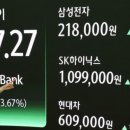 올인결혼 이미지