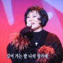 이영숙 카카오 검색결과