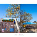 갈산목장 이미지