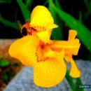 행복상점 이미지