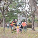 숲속어린이공원 내 | 유아 숲체험 올림픽공원 아이고고 하브루타 숲체험 추천인코드