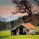 둔포면 아산밸리로 이미지