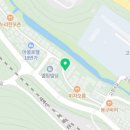 티바두마리치킨정선