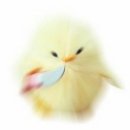 김대중컨벤션센터 A 이미지