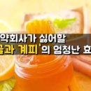 꿀과 계피 신이 내린 만병 통치약 이미지