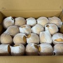 심청 | 곡성 고향사랑기부제 답례품 추천 가시버시농원 달콤아삭 곡성심청배 후기