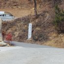 안곡농장 Daum카페