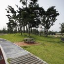 배산체육공원 인라인장 이미지