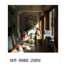 (김유선) 중고거래사이트 만들기 1일차 - 기획하기