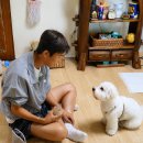 벌써부터 두근반 세근반~ 이미지