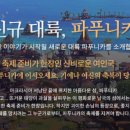 스타우터 이미지