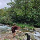 신대리야영장 | 횡성2박3일 내돈내산 여행 애견동반숙소 [밸리앤가든]