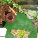 블리쟈드 이미지