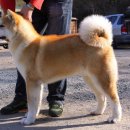 맥스켄넬 이미지