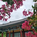 서산서원 | [경남 함안] 함안 서산서원, 경남 연꽃구경 함안연꽃테마파크