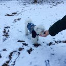 백제불한증막인삼사우나 이미지