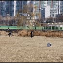 무인61 이미지