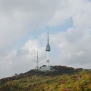 숲의 이야기를 들어볼래? 이미지