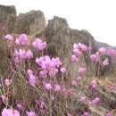 행복의 동산 이미지