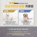 양구동물병원 이미지