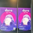 신 달토끼 | 13. 강릉에서 만난 달토끼, 아르떼뮤지엄 강릉