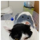 박종현동물병원 이미지