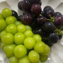 산포도원 이미지