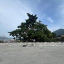 코지하우스정관점 이미지