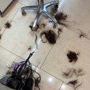[대치동 미용실/강남미용실] 준오헤어 대치점 이미지 컨설팅에 맞춘 커트 관리 후기