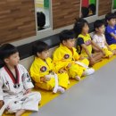 키즈연세태권도장 이미지