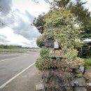 쉬영목 | 쉬영목 해장국집 방문후기