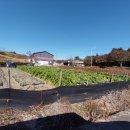 안영농장 이미지