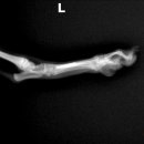 튼튼동물의료센터 이미지