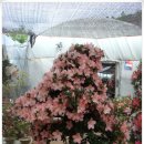 녹원농장 이미지