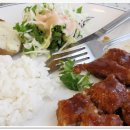 에버그린 이미지