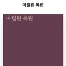 정두섭 시인의 시집 『마릴린 목련』 이미지