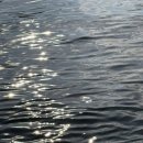 삼호교민박 이미지