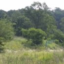 교동면-2 이미지