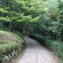참사랑상사 이미지